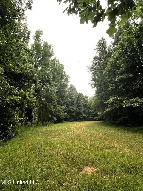 County Road 52, Vaiden, MS 39176 photo 12