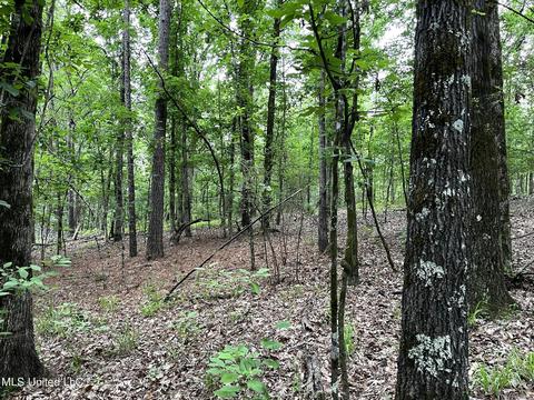 County Road 52, Vaiden, MS 39176 photo 6