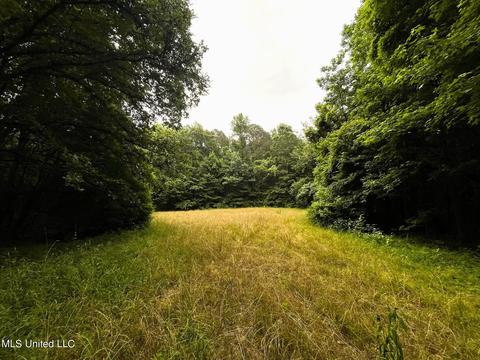 County Road 52, Vaiden, MS 39176 photo 22