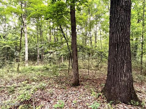 County Road 52, Vaiden, MS 39176 photo 2