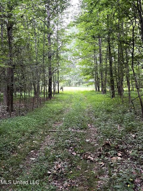 County Road 52, Vaiden, MS 39176 photo 21
