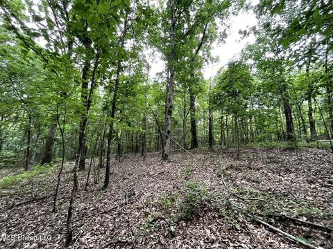 County Road 52, Vaiden, MS 39176 photo 25