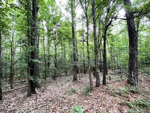 County Road 52, Vaiden, MS 39176 photo 35