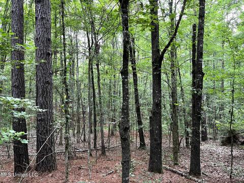 County Road 52, Vaiden, MS 39176 photo 31