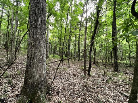 County Road 52, Vaiden, MS 39176 photo 4