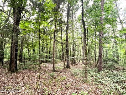 County Road 52, Vaiden, MS 39176 photo 5