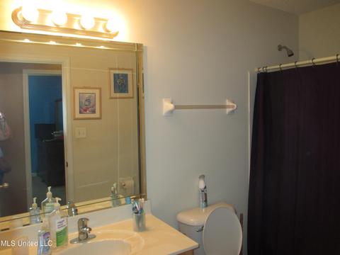 7193 Crape Myrtle Dr, Olive Branch, MS 38654 photo 17