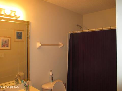 7193 Crape Myrtle Dr, Olive Branch, MS 38654 photo 16