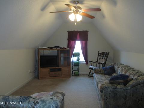 7193 Crape Myrtle Dr, Olive Branch, MS 38654 photo 19