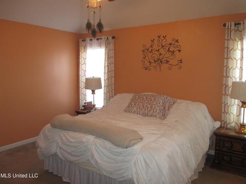 7193 Crape Myrtle Dr, Olive Branch, MS 38654 photo 12