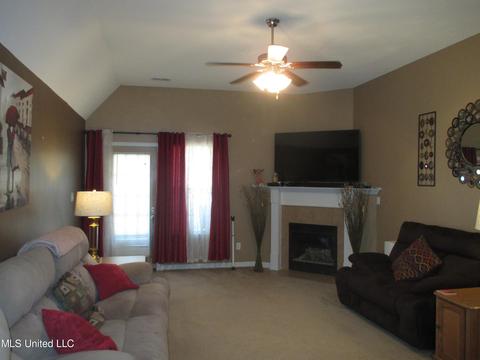 7193 Crape Myrtle Dr, Olive Branch, MS 38654 photo 7