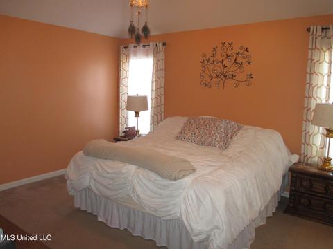 7193 Crape Myrtle Dr, Olive Branch, MS 38654 photo 11