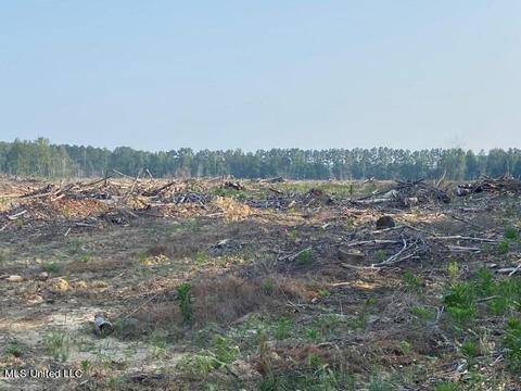 D Bates Road, Morton, MS 39117 photo 13