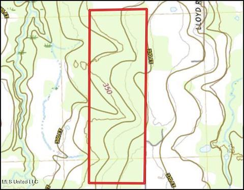 D Bates Road, Morton, MS 39117 photo 17