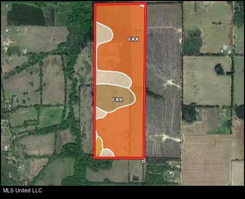 D Bates Road, Morton, MS 39117 photo 16