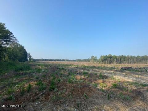 D Bates Road, Morton, MS 39117 photo 8