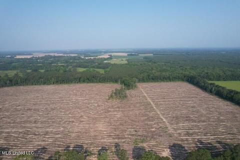 D Bates Road, Morton, MS 39117 photo 6