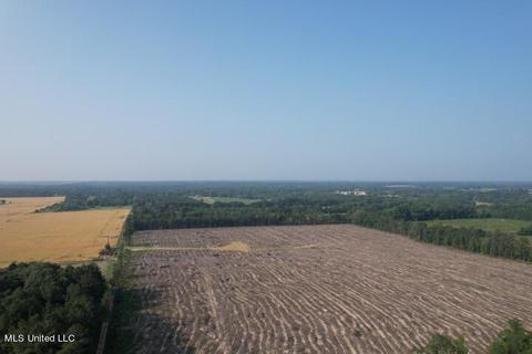 D Bates Road, Morton, MS 39117 photo 3