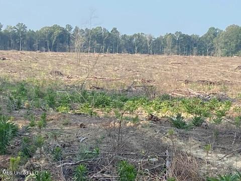 D Bates Road, Morton, MS 39117 photo 14