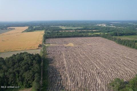 D Bates Road, Morton, MS 39117 photo 4