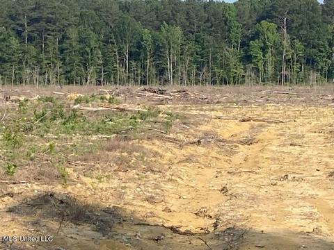 D Bates Road, Morton, MS 39117 photo 11