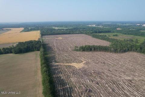 D Bates Road, Morton, MS 39117 photo 5