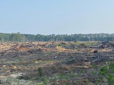 D Bates Road, Morton, MS 39117 photo 10