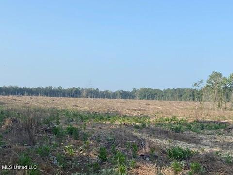 D Bates Road, Morton, MS 39117 photo 9