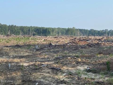 D Bates Road, Morton, MS 39117 photo 12