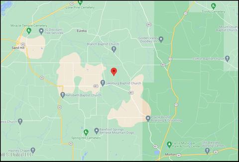 D Bates Road, Morton, MS 39117 photo 18