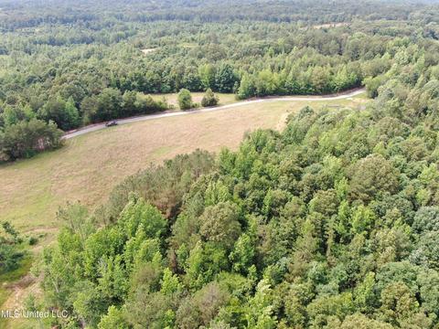 Bullock Road, Holly Springs, MS 38635