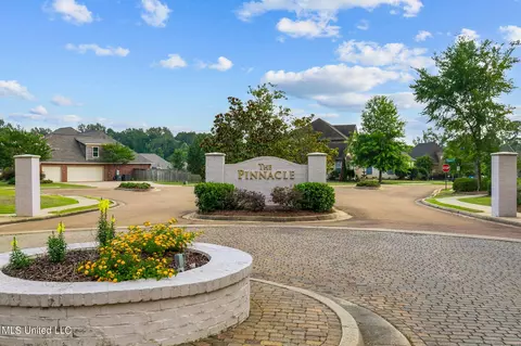 138 Pinnacle Cir, Brandon, MS 39047 photo 91