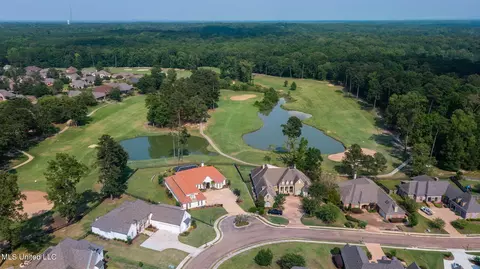 138 Pinnacle Cir, Brandon, MS 39047 photo 9