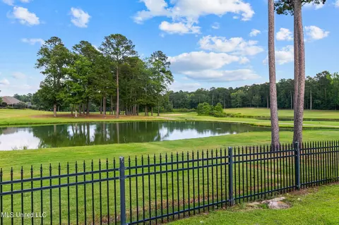 138 Pinnacle Cir, Brandon, MS 39047 photo 83