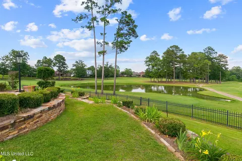 138 Pinnacle Cir, Brandon, MS 39047 photo 88