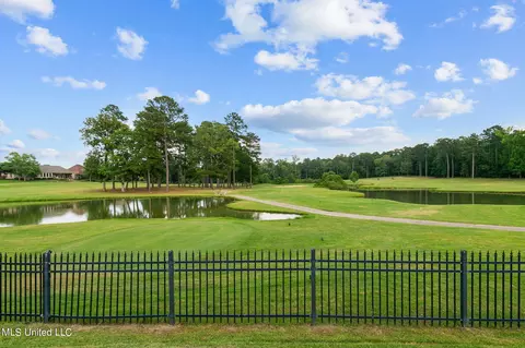 138 Pinnacle Cir, Brandon, MS 39047 photo 85