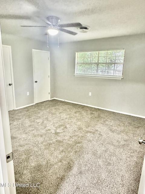 168 Chestnut Cv, Jackson, MS 39212 photo 8