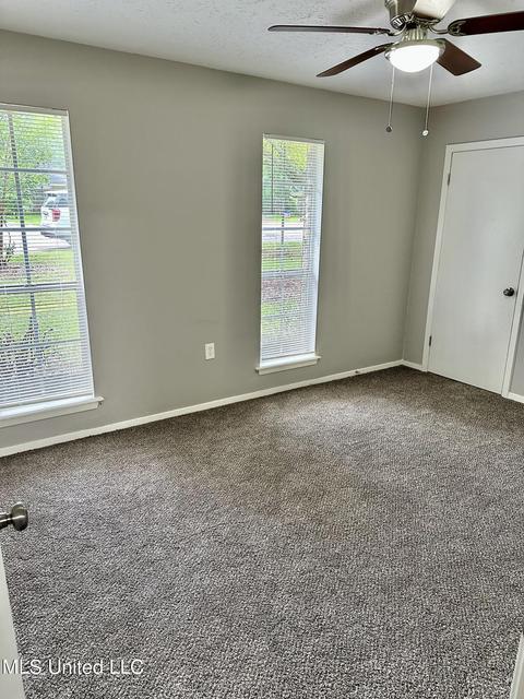 168 Chestnut Cv, Jackson, MS 39212 photo 9