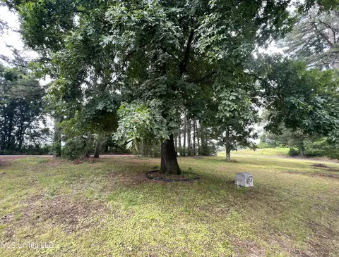 6633 Peyton Rd, Coldwater, MS 38618 photo 4