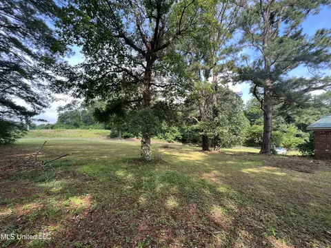 6633 Peyton Rd, Coldwater, MS 38618 photo 3