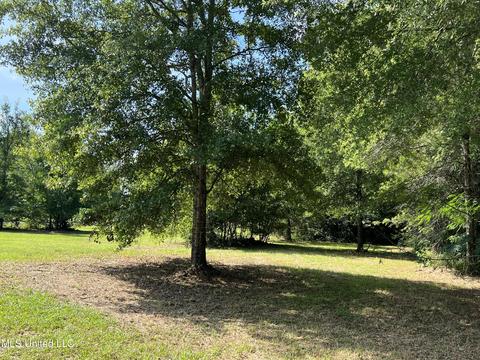 156 Wes Havard Rd, Lucedale, MS 39452 photo 37