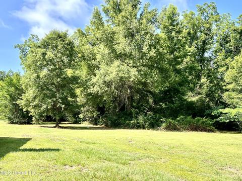 156 Wes Havard Rd, Lucedale, MS 39452 photo 38