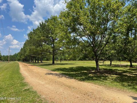 0001 Stout Rd, Canton, MS 39046 photo 12