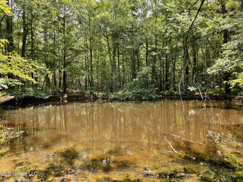 0001 Stout Rd, Canton, MS 39046 photo 29