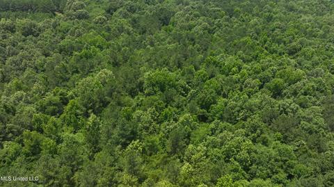 0001 Stout Rd, Canton, MS 39046 photo 26
