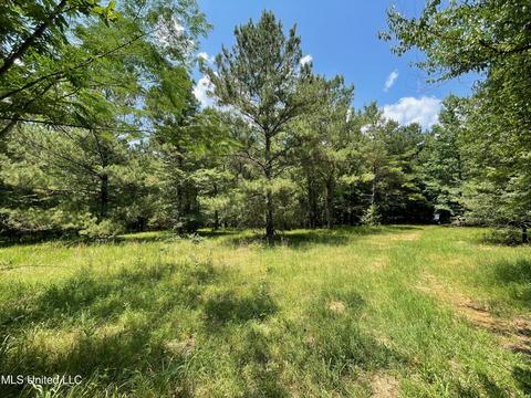 0001 Stout Rd, Canton, MS 39046 photo 4