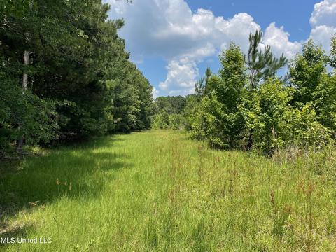 0001 Stout Rd, Canton, MS 39046 photo 32