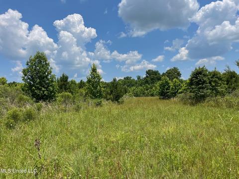 0001 Stout Rd, Canton, MS 39046 photo 3