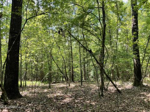 0001 Stout Rd, Canton, MS 39046 photo 8