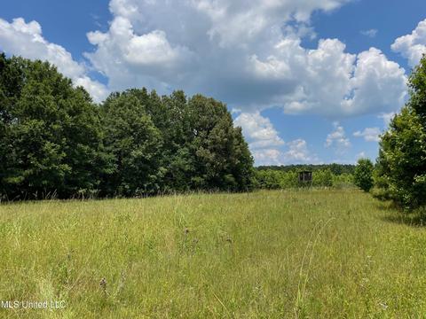 0001 Stout Rd, Canton, MS 39046
